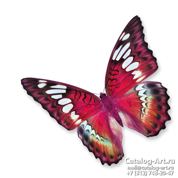  Butterflies 130